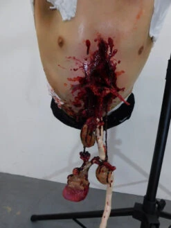 Hog-Tied Oscar Dangler Dummy -Bloodline Effects Store 60a069 27968d2ef9ed44e8837c1eaa7a728383mv2