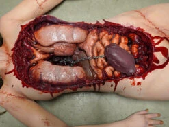 Autopsy Meredith Body With Hidden Chamber -Bloodline Effects Store 60a069 2c460c713e7f4a458b4dade915c278dbmv2