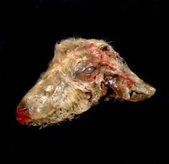 Animal Prop Goat Head Rotted Doe -Bloodline Effects Store 60a069 2c57b05c013949ab912f913b26b63a40mv2
