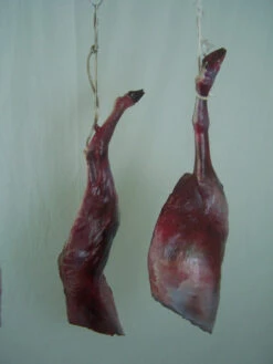 Goat Quarters 2 Piece -Bloodline Effects Store 60a069 2cb47e91b65f4a1b8b8d5fe863de18a5mv2