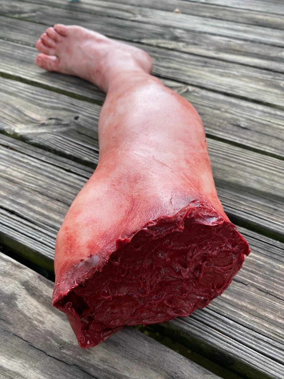 Male Large Leg 4 Male Large Leg - Image 2