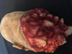 Full Sized Severed Head -Bloodline Effects Store 60a069 3278b7dd8d794864a4c3e8f5706bb14amv2