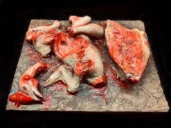Animal Prop Chicken Cuts -Bloodline Effects Store 60a069 3954f9be554f497d916474261659f930mv2