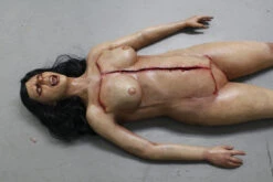 Dura Autopsy Brittany With Pass-Through