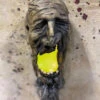 6' Lighted Shrunken Head Swamp Stick -Bloodline Effects Store 60a069 3b8310a7eea74b7eac5c0265b7459101mv2