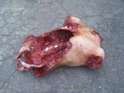 An Extremely Gory Piece, This Deluxe Gore Chest Has Been Ripped Open To Reveal Spine, Ribs And Hip Bones. -Bloodline Effects Store 60a069 3e6e5d6321b44d71bf86d0594c963259mv2