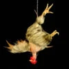Animal Prop Chicken Hanging Plucked - Head BROWN -Bloodline Effects Store 60a069 44f85872d51441a4bdeeb51bd52ffa7fmv2
