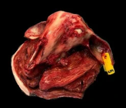 Animal Prop Butcher Lamb Head & Meat Cuts -Bloodline Effects Store 60a069 4717d9d2eaa74e1aa02fc9fccaf8ddc4mv2