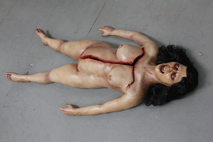 Dura Autopsy Brittany With Pass-Through 7 Dura Autopsy Brittany With Pass-Through - Image 5