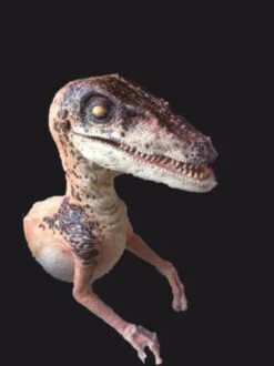 Raptor Half Static Prop -Bloodline Effects Store 60a069 4a8cd2b9f96343759ded9ab7ad465390mv2