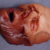 Dura Sallow Peeled Face Skin -Bloodline Effects Store 60a069 4dc1bf9cec854f51aeed528ed4318b6emv2