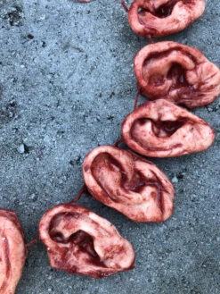 Severed Ear Necklace -Bloodline Effects Store 60a069 4e93262394bf436290994c66646e8cb4mv2