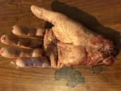 Old Man Hand -Bloodline Effects Store 60a069 533efdeae5274db28011d139a3ad52bbmv2