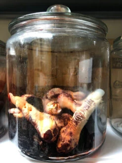 Fingers Speciman Jar