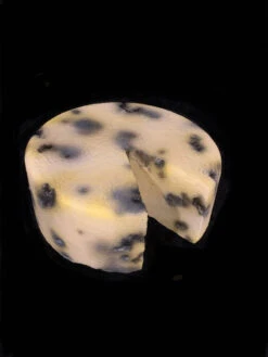 Faux Food Prop Cheese Wheel Moldy -Bloodline Effects Store 60a069 5618026d661848d785a4c478a715aafemv2