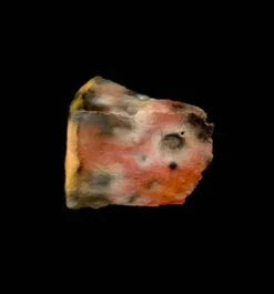 Faux Food - Moldy Cake -Bloodline Effects Store 60a069 5837a80327eb4a5d85559a4709b47722mv2