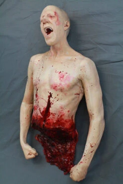 Split Martin Bloody Torso -Bloodline Effects Store 60a069 5c22516b637d441788906ea0f0ecce9cmv2