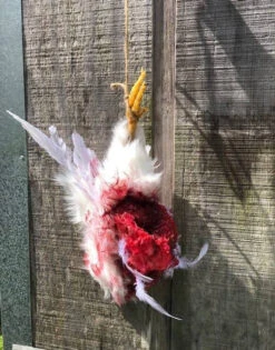 Animal Prop Chicken Hanging Dismembered -Bloodline Effects Store 60a069 5d680d3e4c8f4d5a8172806478e60ab8mv2