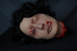 Mauled Lauren Head -Bloodline Effects Store 60a069 5f2a50f072e94dc4ba3f1e7f33b0804amv2