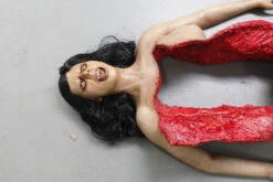 Dura Autopsy Brittany With Pass-Through 13 Dura Autopsy Brittany With Pass-Through -Bloodline Effects Store 60a069 6a370733745742a89a43bc019d1cb9c0mv2