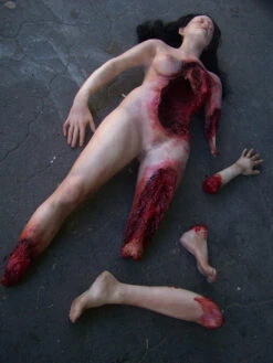 Deluxe Wounded Jessica Body With Parts -Bloodline Effects Store 60a069 6a8e97c2372d4d9a8dff4a9dfd5325e0mv2