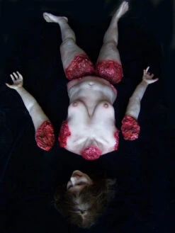 Chopped Kristina 12 Chopped Kristina -Bloodline Effects Store 60a069 6be7d0b215f244b989ee7c539d3c315bmv2