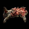 Animal Prop Rabbit Dismembered Large 1 Animal Prop Rabbit Dismembered Large -Bloodline Effects Store 60a069 6c4b0eac6c0a4851a3848c3348270227mv2