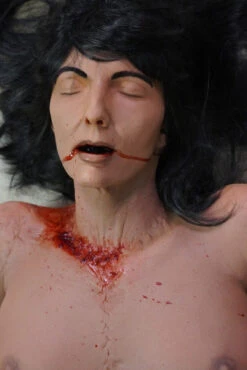 Split Meredith -Bloodline Effects Store 60a069 7166bd07a3cc47f6bf089d2d6d2d34a6mv2