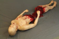 Split In Half Martin 2 Pc -Bloodline Effects Store 60a069 71f3770e966d4246891501df895a940fmv2