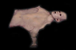 Flayed Half Man -Bloodline Effects Store 60a069 76901c8abf644cdebc64518c828e5c19mv2