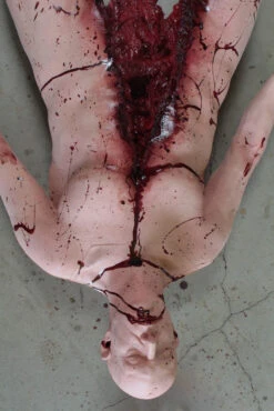 Bifurcated Ben Body 8 Bifurcated Ben Body -Bloodline Effects Store 60a069 7d8b4e9f948b437fa4566a1241fa237cmv2