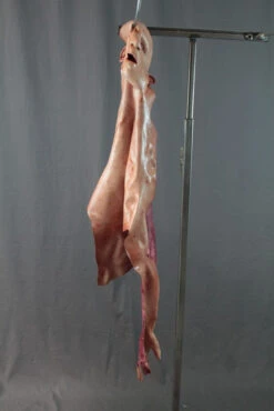 Flayed Half Man -Bloodline Effects Store 60a069 7ed35358bf694055acd180edfc5d6d13mv2