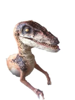 Raptor Half Static Prop -Bloodline Effects Store 60a069 84e16bec2e0b46298bdd5084cb40930emv2