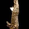 Animal Prop Rabbit Hanging - Large -Bloodline Effects Store 60a069 85d1d5a3d8f2491d97d2747af1b8e7dbmv2