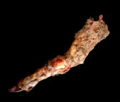 Animal Prop Calf Leg Rotted -Bloodline Effects Store 60a069 88ab560c107740d1b16aec1e99d3993fmv2