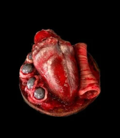Animal Prop Beef Heart -Bloodline Effects Store 60a069 898d35aca63245398f189699e9e46320mv2