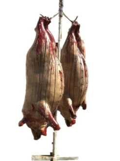 2 Full Size Pig Deal -Bloodline Effects Store 60a069 8cdee9e67add4885bddf5a2cc59bf3d3mv2