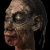 Zombie Severed Head With Hair And Blood -Bloodline Effects Store 60a069 9136d43dfd1542f48698d34bf501b445mv2