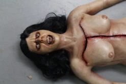 Dura Autopsy Brittany With Pass-Through 12 Dura Autopsy Brittany With Pass-Through -Bloodline Effects Store 60a069 95563d59df69483189a44c7bd1d730b0mv2