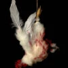 Animal Prop Chicken Hanging Dismembered -Bloodline Effects Store 60a069 9e3bd934fe734199b1e962c51d3efecamv2