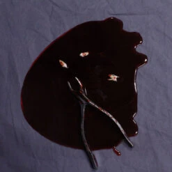 Blood Pool With Teeth And Tooth Extractor