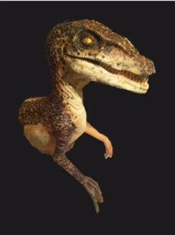 Raptor Half Static Prop -Bloodline Effects Store 60a069 b051610ed13740f7980d53e1b295814emv2