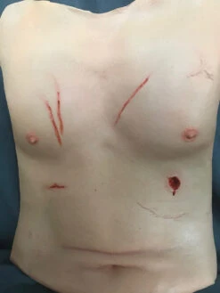 Trauma Torso Skin -Bloodline Effects Store 60a069 b0b64524d9264f998db9b8871acf20efmv2