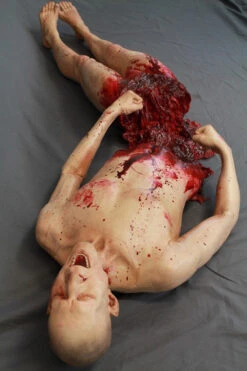 Split In Half Martin 2 Pc -Bloodline Effects Store 60a069 b3077b59db074424bfb9b9186257f273mv2