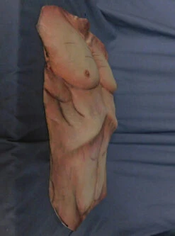 Cadaver Torso Skin -Bloodline Effects Store 60a069 b4bc40e0f7d647249fbe11521f4c36a9mv2