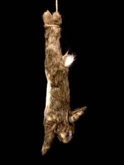 Animal Prop Rabbit Hanging - Large -Bloodline Effects Store 60a069 b967f3e6b1344c98a50852c7f0047d35mv2