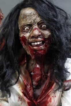 Professional Zombie Horde Value 6 Pack 11 Professional Zombie Horde Value 6 Pack -Bloodline Effects Store 60a069 ba81a563731348bf81e3a0466e9f6e43mv2