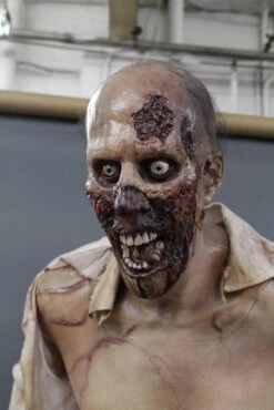 Zombie Zack Full Size Prop 18 Zombie Zack Full Size Prop -Bloodline Effects Store 60a069 be214b7afd664341ac70b6d59f1b080fmv2