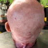 Severed Male Head “Adam” -Bloodline Effects Store 60a069 c1557b428cdb43c28c0d6f5c9b7a04ffmv2
