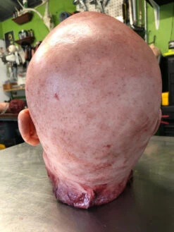 Severed Male Head “Adam”